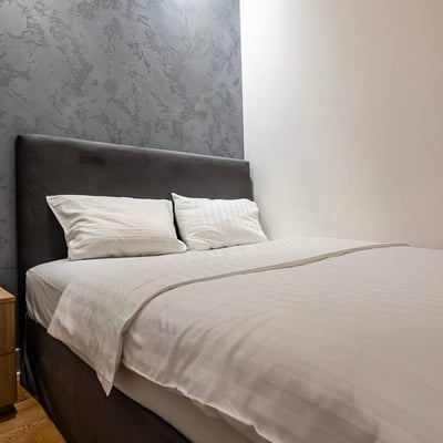 Vermietung einer gemütlichen 2-Zimmer-Wohnung, 32 m², Vračar, Belgrad, Serbien